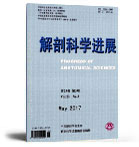 解剖科学进展