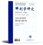 解剖学研究